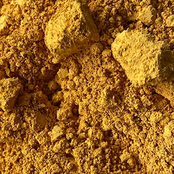 Jaune Y Haliday Yellow