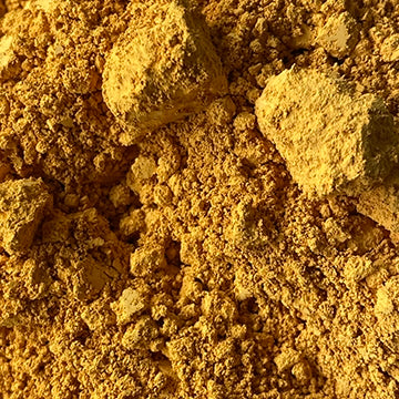 Jaune Y Haliday Yellow