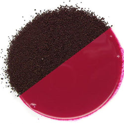 Magenta SP