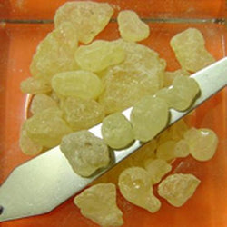 Dammar Gum