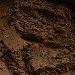 Spanish Burnt Umber